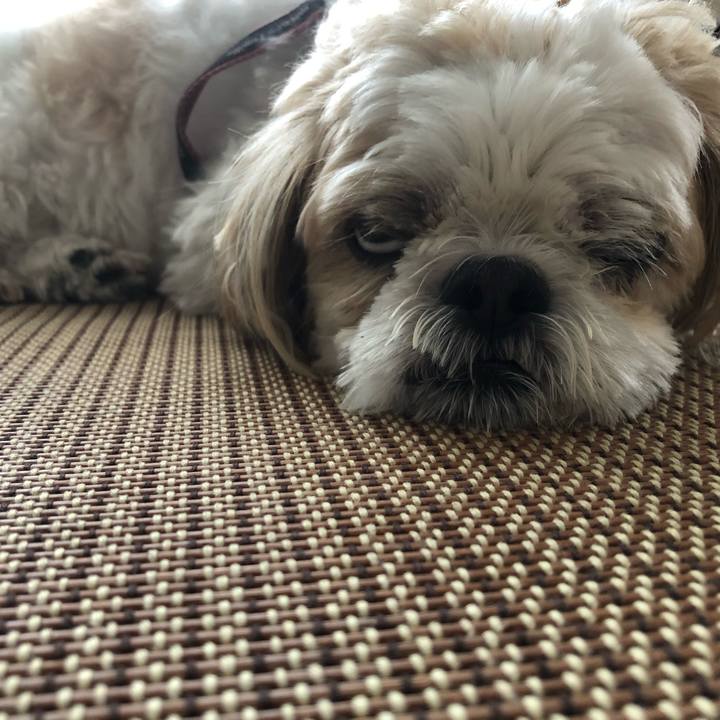 94786fd0 24e6 4cdc 873b d3de151d41f6 1627335516676