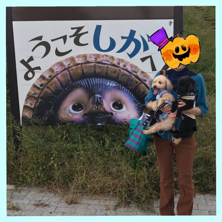 94788fd5 86b5 4157 9dfe 3af7b598900c 1539926734116