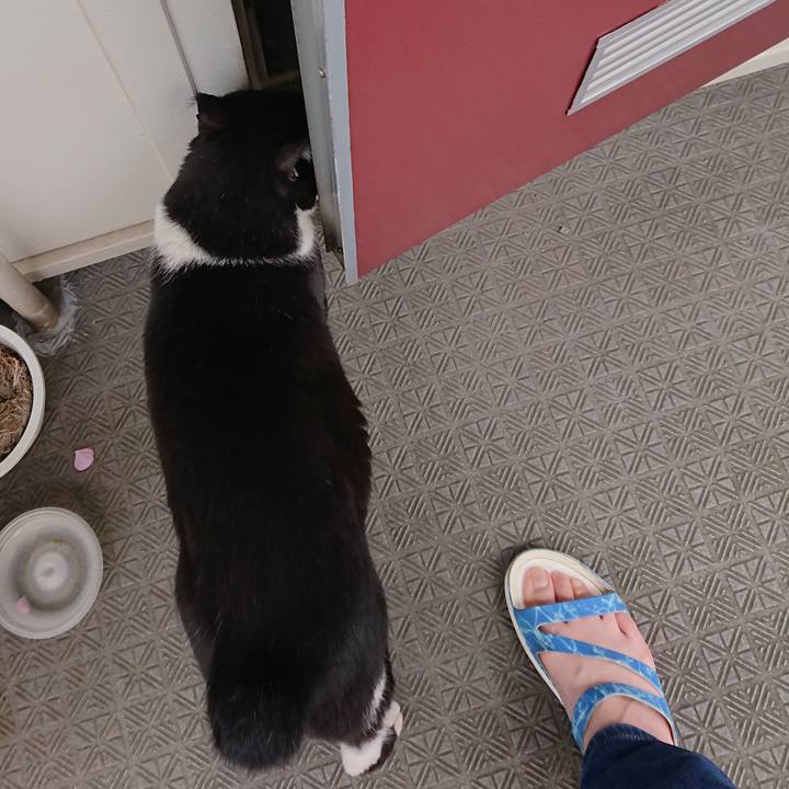 9478941f 52d2 4ca7 91be 22926427d883 1558248504677