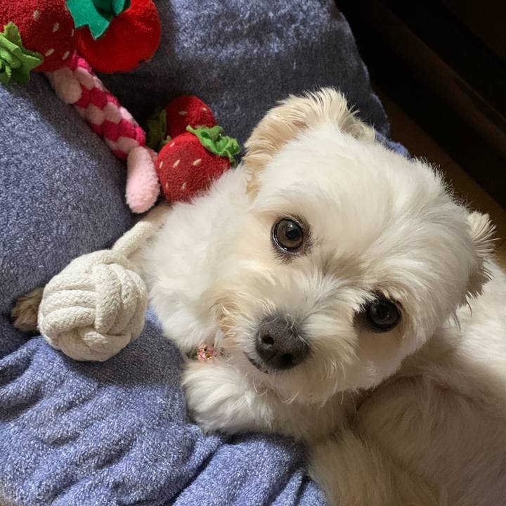 94789533 3a7f 452c 8e40 53e6109fd268 1597493833938