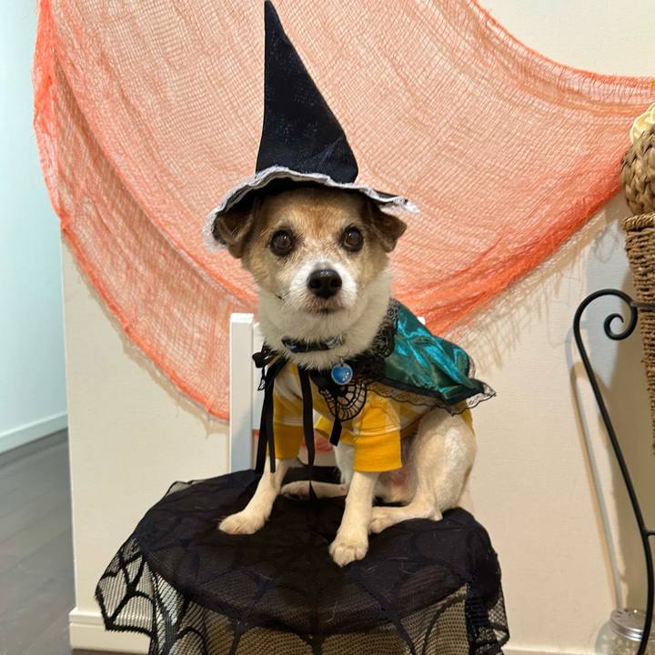 9478c421 41df 4425 b04b b445b5a12c0a 1667187999256