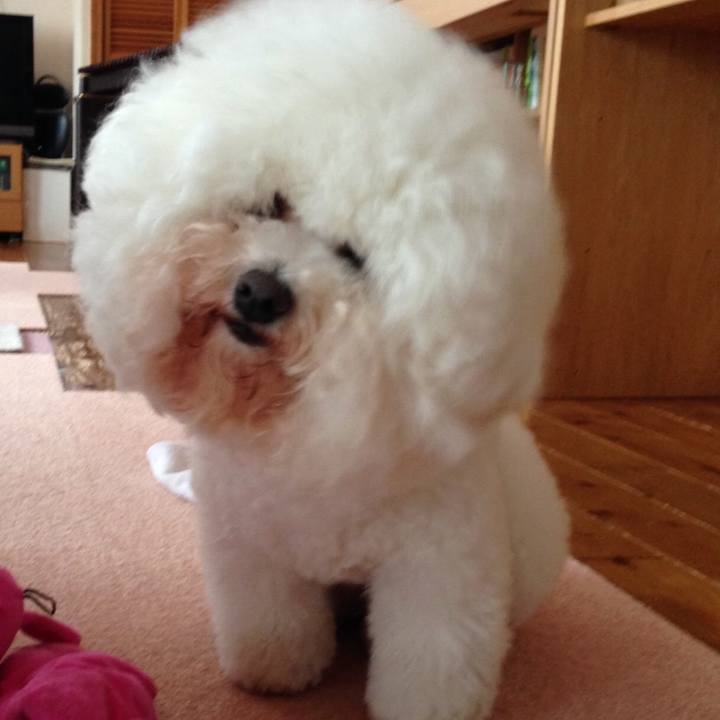 9478c878 0a62 4705 9302 ba2dc8456377 1553435927837