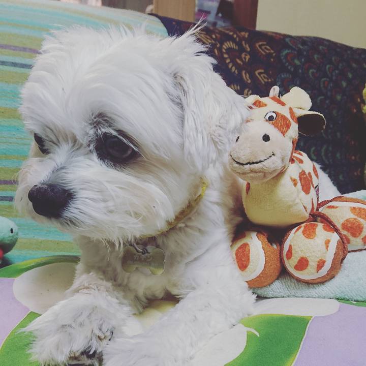 9478dee1 5d75 4b30 8268 3476dcd6ec4e 1622538628131