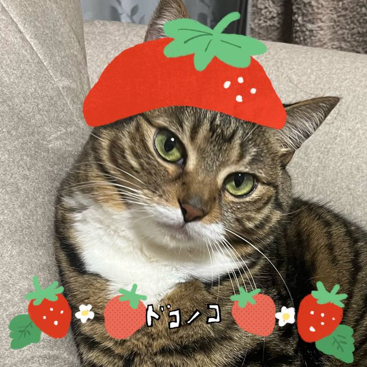 9478e6f4 f9d9 4f86 a335 0aea7f381665 1775561520957