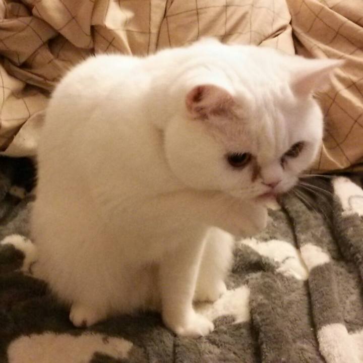 9478f28f 19a6 449c 98e2 9f8b7ac7d619 1517958075401