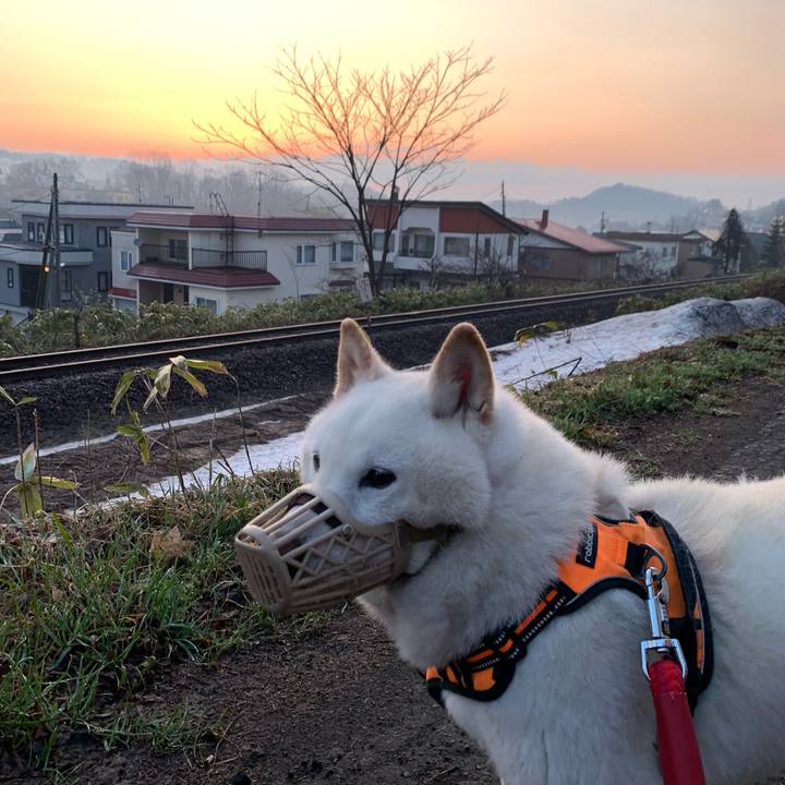 94791015 029f 4a61 a4e6 93797a9ea4aa 1650316148575