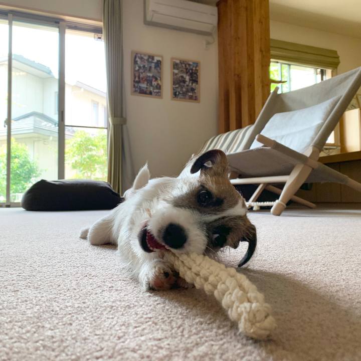 94794185 095e 4b6f a36f 2660d021240c 1561423278380