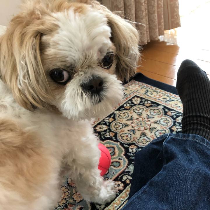 94794ac2 0ab0 4848 a314 6f726ffe124b 1553118198863