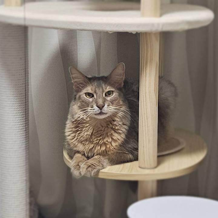 947979b2 8571 4174 99f4 e1c833a958fe 1754452284689