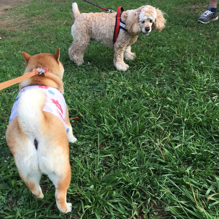 9479acff 3e36 4433 a40a 0670330082ff 1566081534555