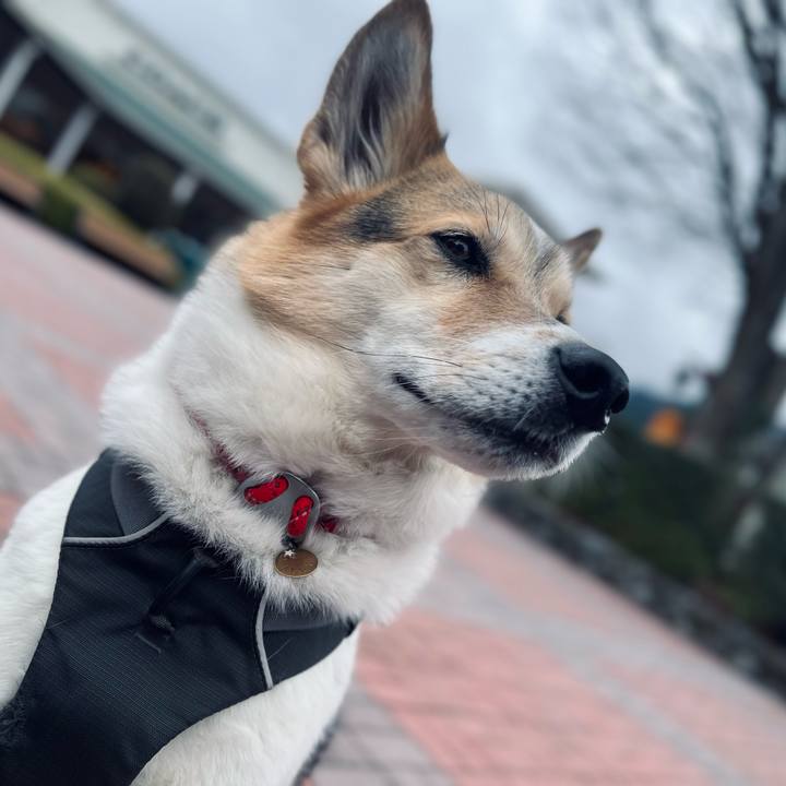 9479d670 922f 46cb 97d8 6a5de7e0e7f4 1773889100883