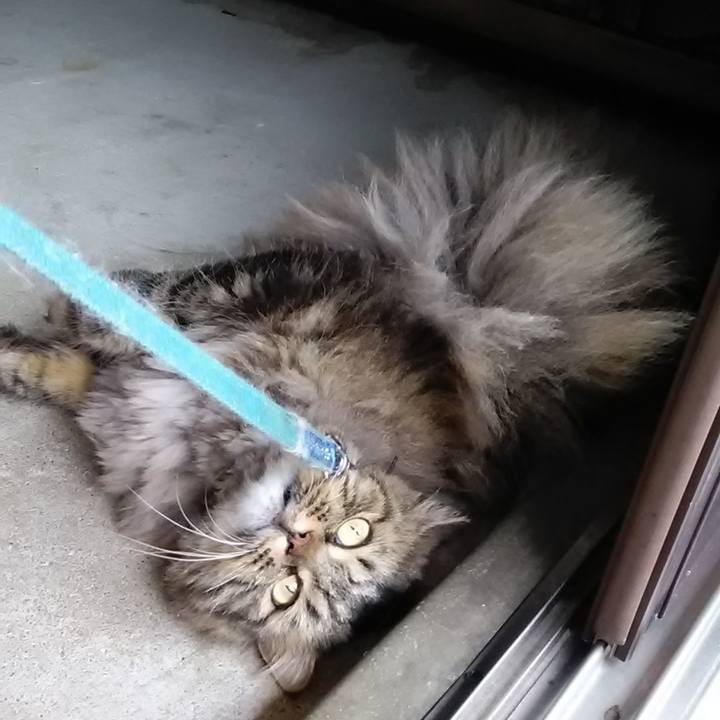 9479eabb 3996 4e46 abd6 04c102e378c7 1624924156485