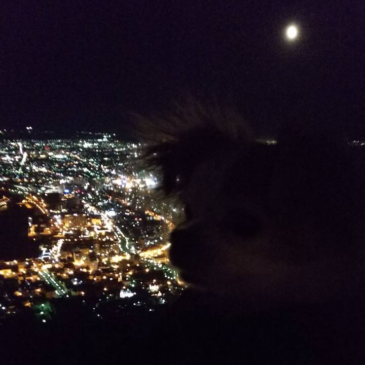 9479eacf 6299 43f5 a598 c8c026a441c3 1538485212020