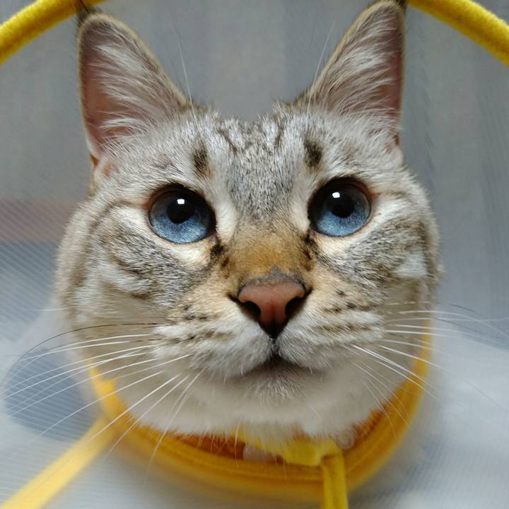 947a1399 b596 45a9 b3dd 1968f5f41fcd 1732375197128