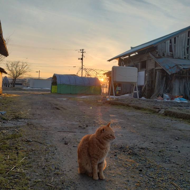 947a145e 6873 4dd6 b52a 6d4289e0a96d 1708293839615