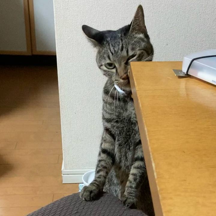 947a7707 d08d 42e1 a529 1788ae5214ca 1636146769971