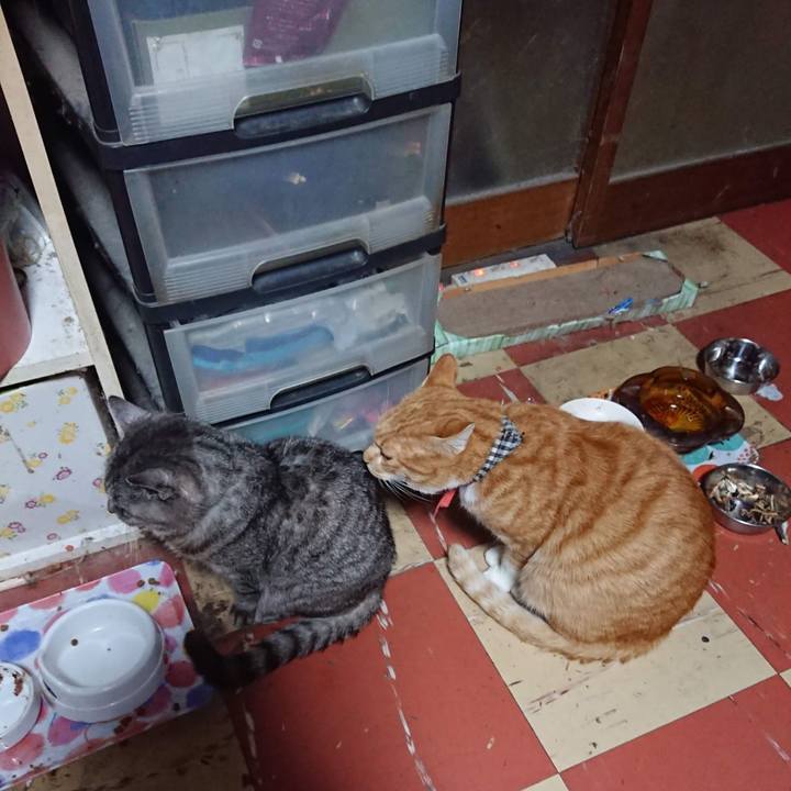 947aa37f 8218 4039 9f3d 2a6bf90558f1 1604523072189