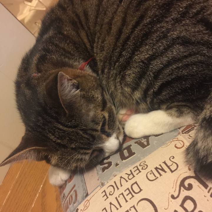 947ab153 8fe8 46d7 a954 9bfa349775e3 1563402599937