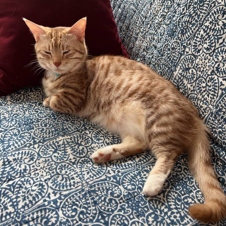 947ac4ed 2f6b 4ffa aeb1 0d1de26136a2 1717387103310