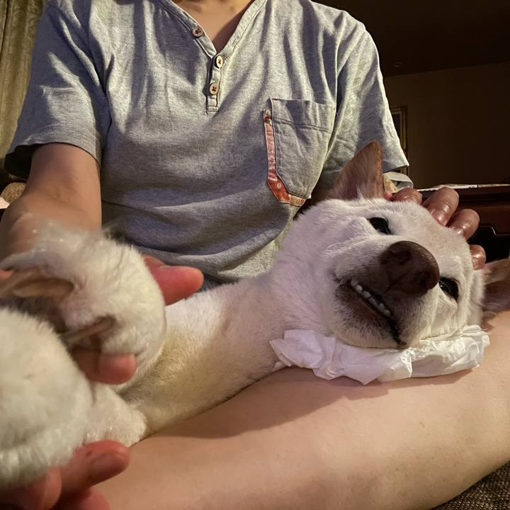 947ad1df 67b0 4aab 82e3 efbe79895f5c 1658237189896