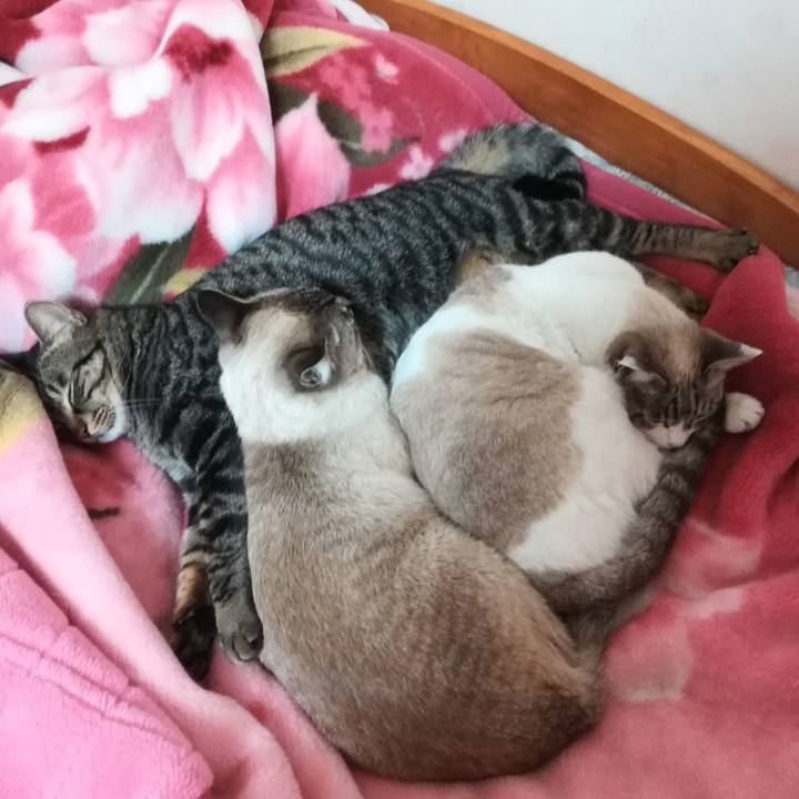 947afad3 2a34 4d44 a1e5 181a3c03121d 1546614616330