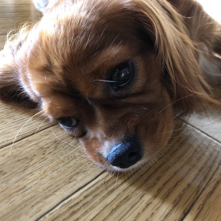 947b2472 7a08 465f 8184 e0078ea1e6f3 1531261123719