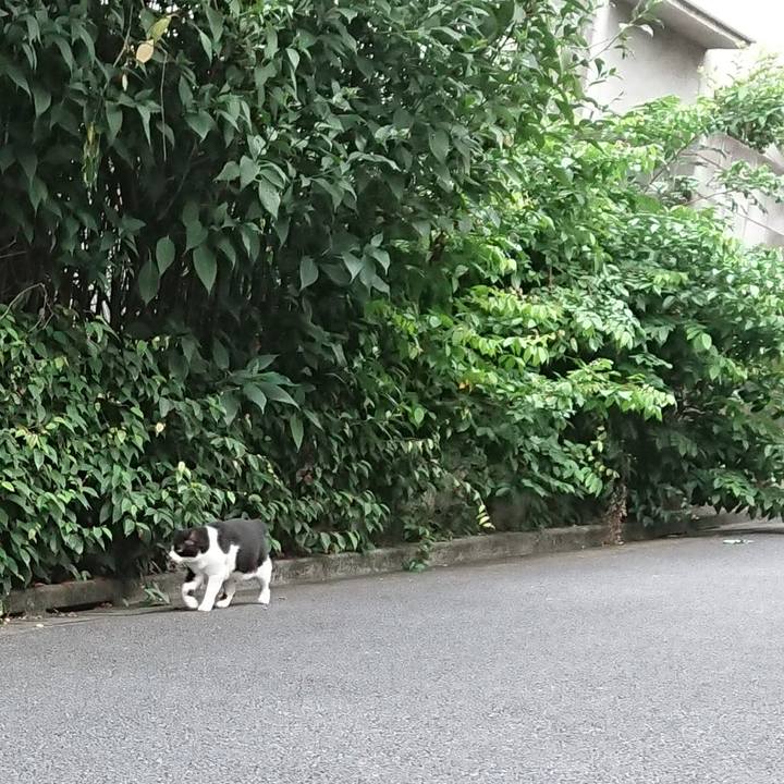 947b263c 82c3 48b6 b6de ae7aa37f18ea 1600244122332