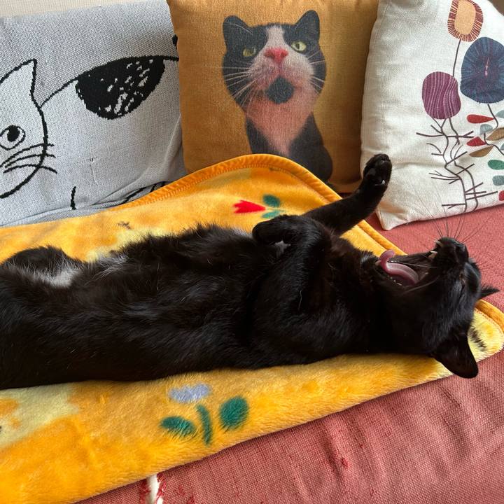 947b6ecf be03 470f 823a 1740e398fad5 1730854751673