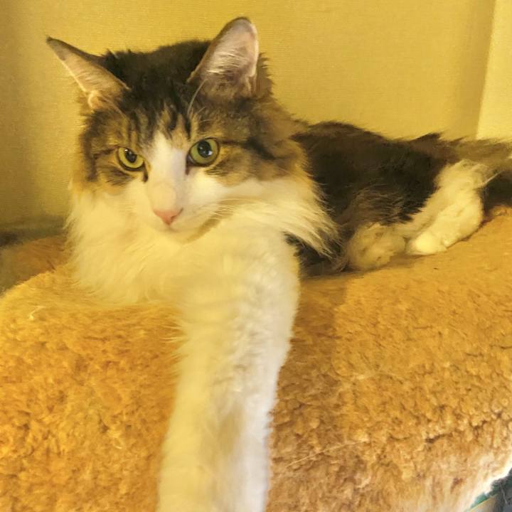 947b8e81 00c1 4674 a905 86c8c3841542 1694923758596