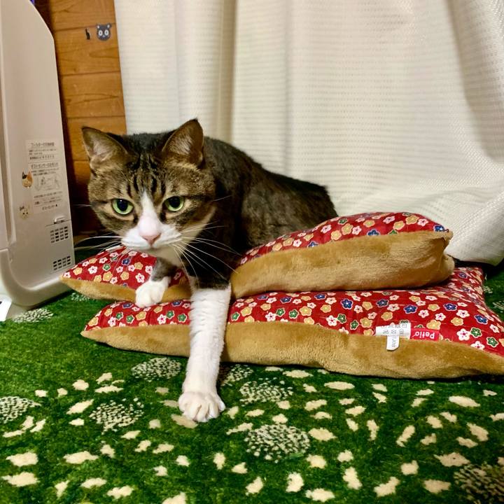 947bc912 0a6e 4f6a 9d09 7d1c30e8c445 1637663089571