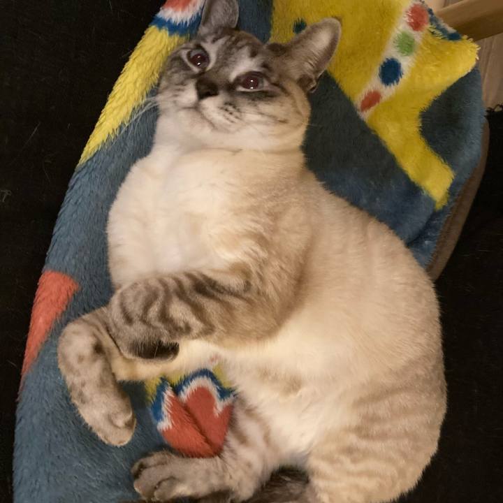 947c0849 52f8 4d85 9439 794b3dd0f319 1644580215157