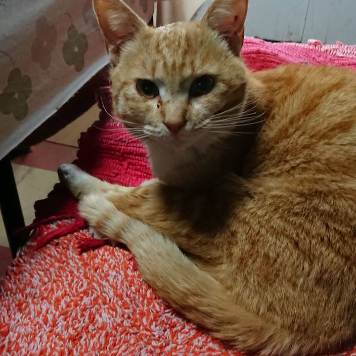 947c1e0c 3363 4bcc ada4 8ec0a6e5cf78 1554932430146