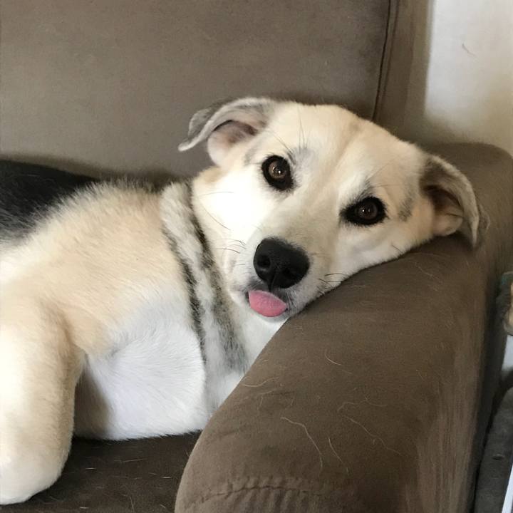 947c55be 7c97 47d4 800d ea23224bb585 1528330137414