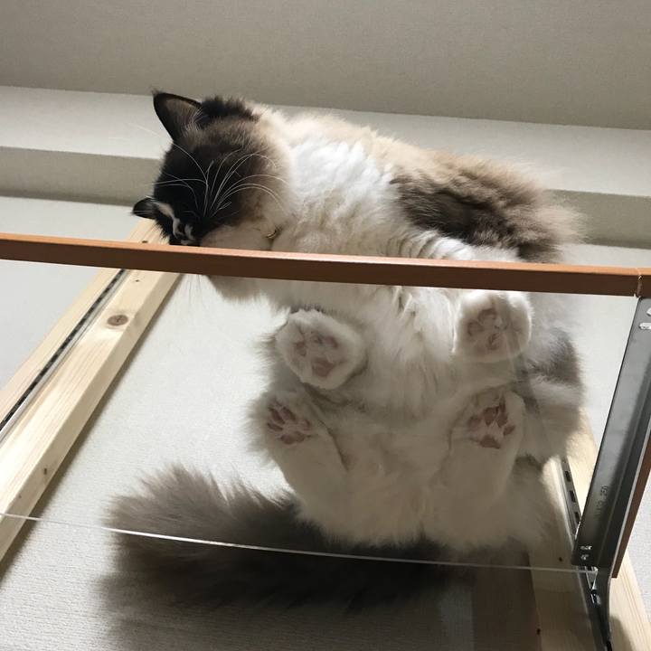 947c6c13 1045 4df4 bf85 2142d44ddc50 1521673379315