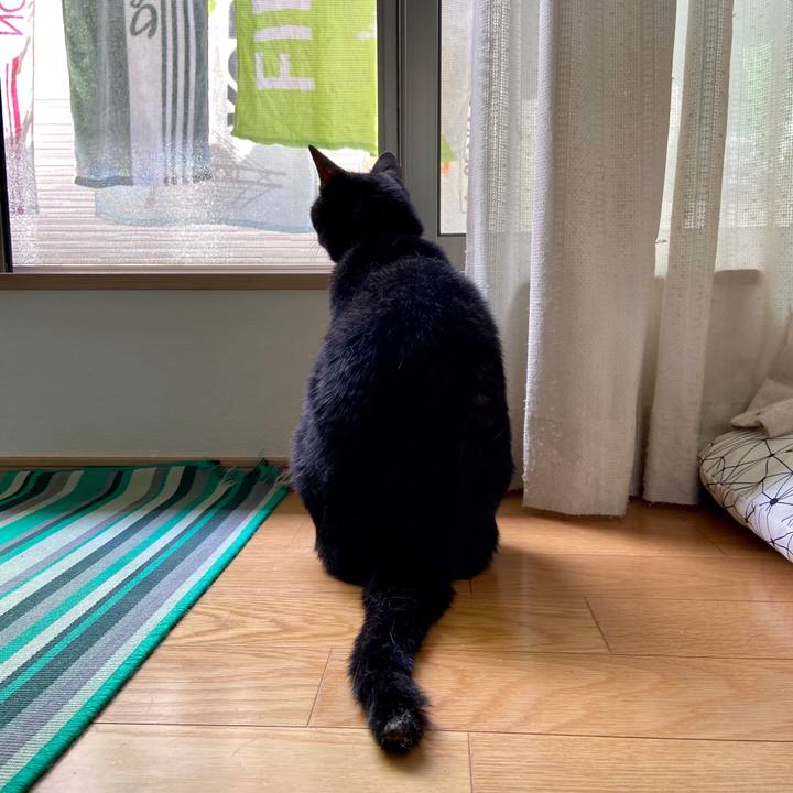 947c77eb d6bd 4b00 899d c920a41d1c2a 1594169356238