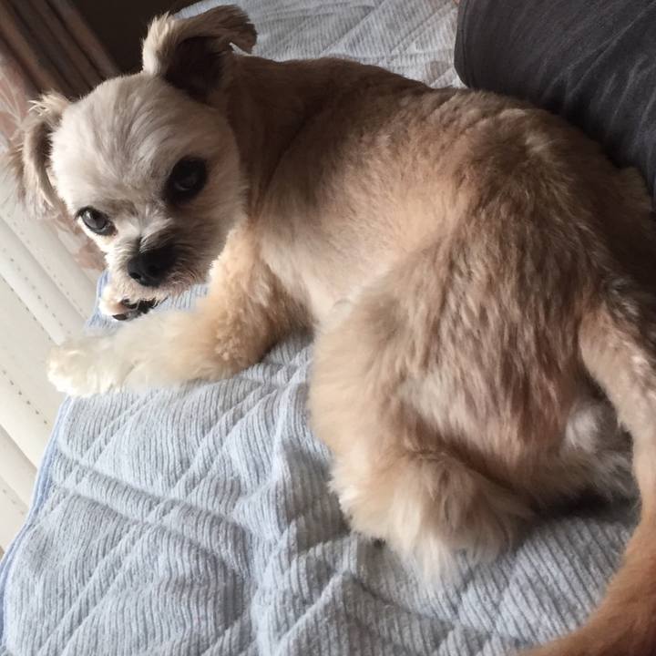 947c7f28 127b 4ded a7b7 e45f3b5f4394 1561884190194