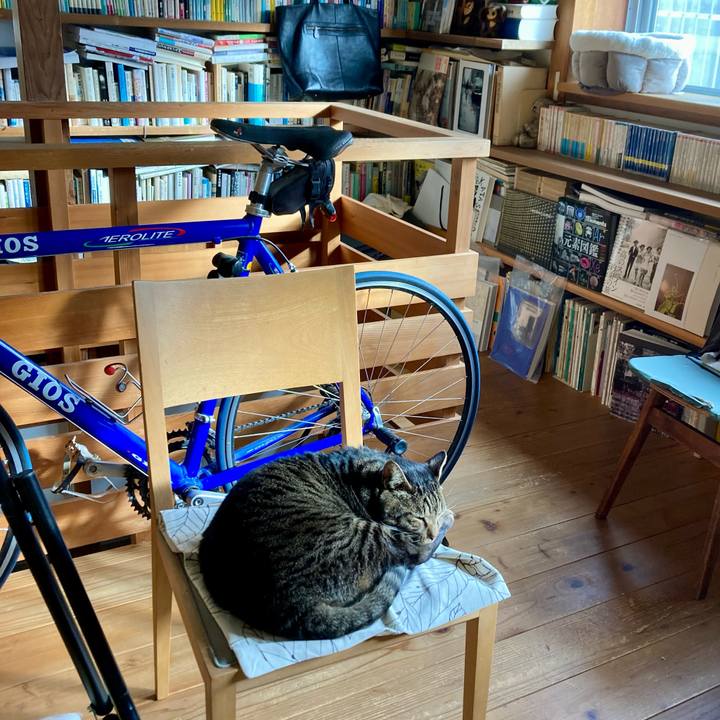 947c8c06 fc86 41f8 ad7f 71ef076d62d9 1705708826408