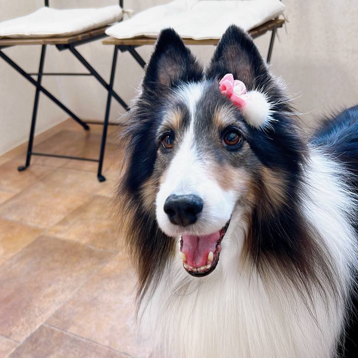 947cb78b 21f4 437f 91c6 6ee66d112c29 1705177066251