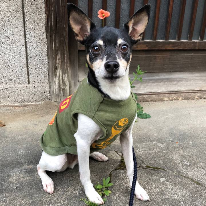 947cc93b 21d8 4f3d 9720 03581faf064a 1524139354970