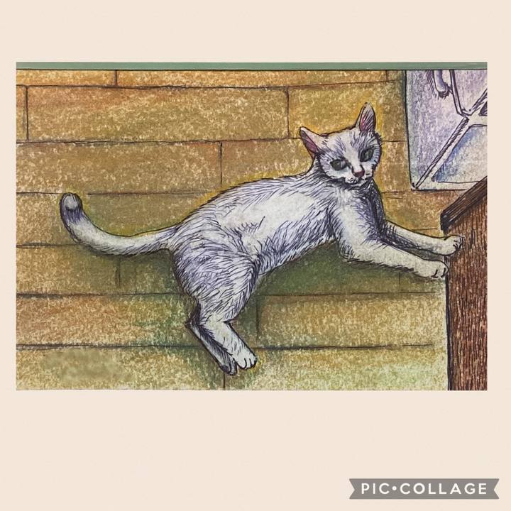 947d3f79 5d35 428e 9616 14d5de0ea4f7 1669765535084