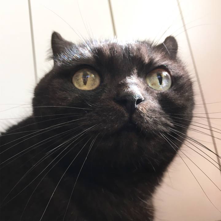 947d5272 088a 4afb 9edf 28715fa8f0a2 1543113291705