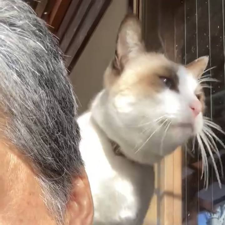 947db163 d602 4501 aa2b 8263f5abbf91 1735375958390