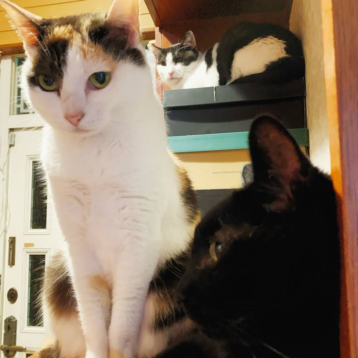 947db263 65d8 4325 b8fa 11a464c9cad8 1598150260272