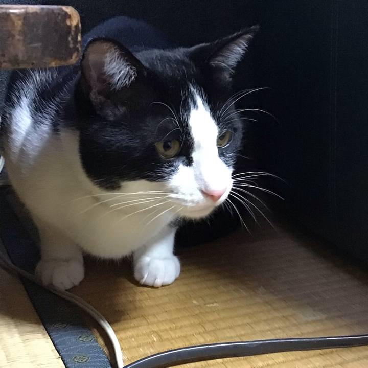 947dd5f5 b9e2 45ad 8269 01b6d24423f5 1651311287995