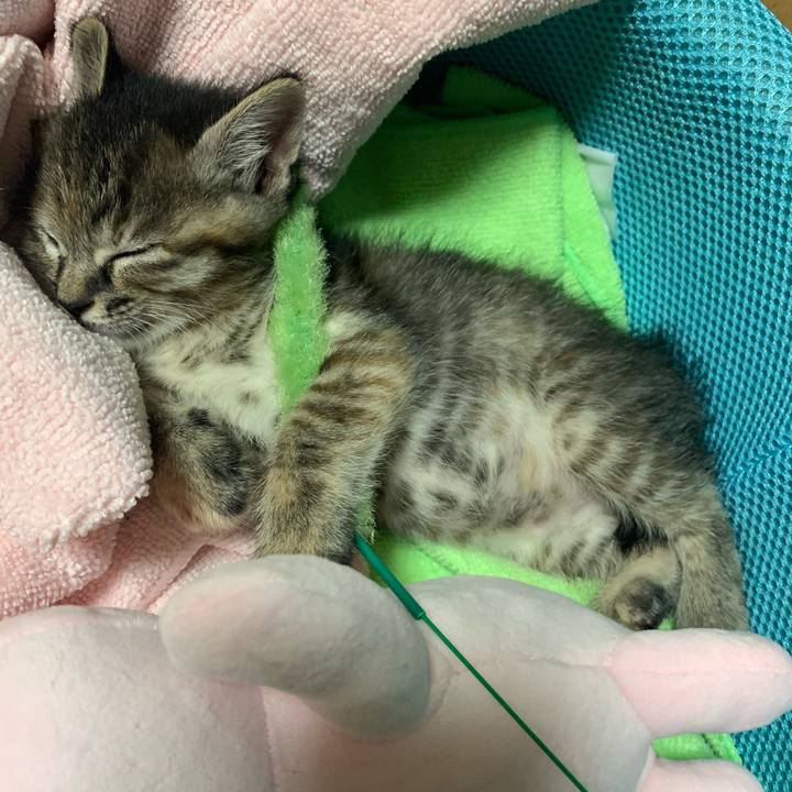 947df0f0 ffa8 4a0b ae3a f4f633151289 1588689758473