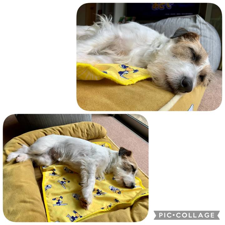 947e1839 deda 42b6 be08 22198444f8b6 1653123255476