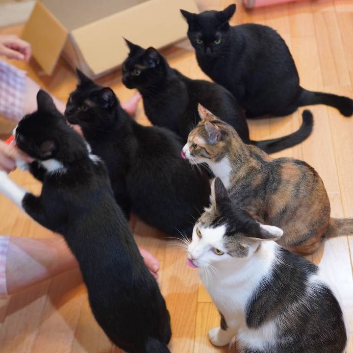 947e196b a3cc 45af b925 0a5c97a5e04e 1602772194046