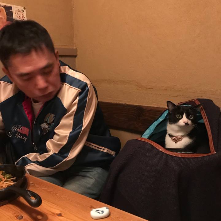 947e63db 5185 4446 ba4c 2727749c996d 1543202797451