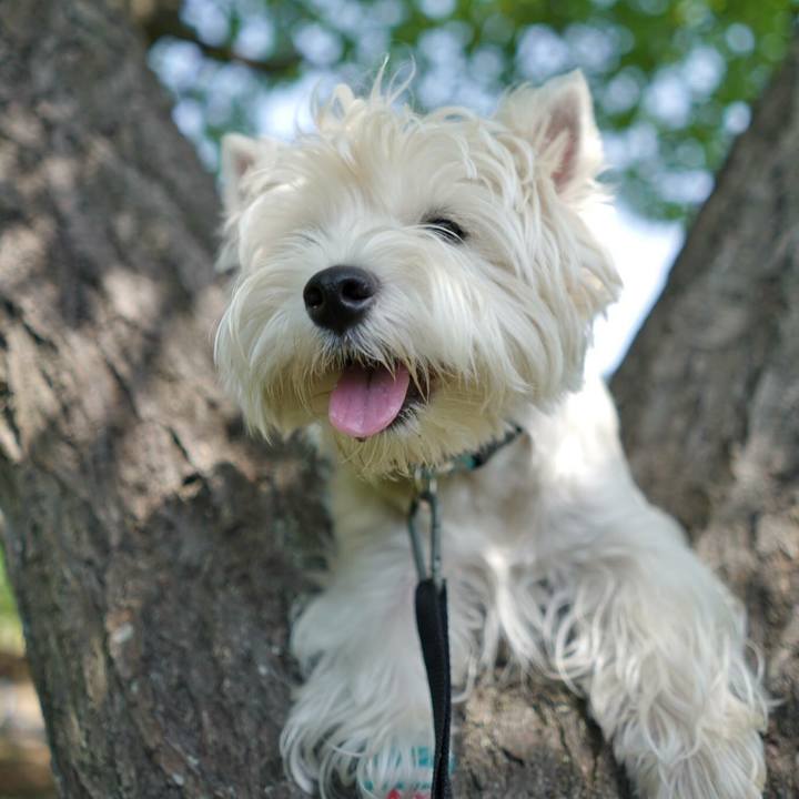 947e95bc 31da 410f a704 4c14feb4d794 1525062020979