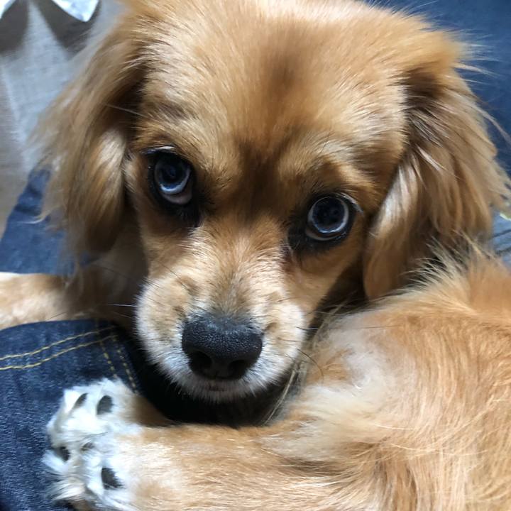 947eb5cb 4879 413e b7d7 c6615474f7d1 1523975364798